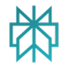 Perplexity AI